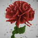 Illustration for article titled This rose is smaller than a strand of hair